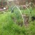 What you see is the remains but the cloche frame is still in place. The PVC easily came apart and can be reused somewhere else. What you see is the remains but the cloche frame is still in place. The PVC easily came apart and can be reused somewhere else.