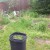 A walking path was mowed around the edges of the yard so that there are a few feet trimmed for people to walk comfortably. A walking path was mowed around the edges of the yard so that there are a few feet trimmed for people to walk comfortably.