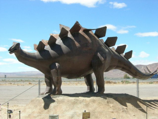 The stegasaurus