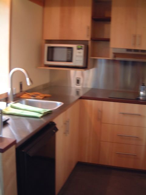 This kitchen had a convection cooktop, a small microwave, a sink with water hookups, some cupboards.  This is more what people think of as a kitchen.