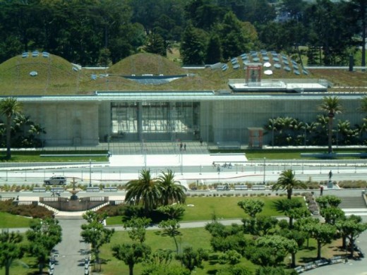 The Academy of Science in Golden Gate Park
