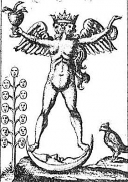 The Androgynous Man