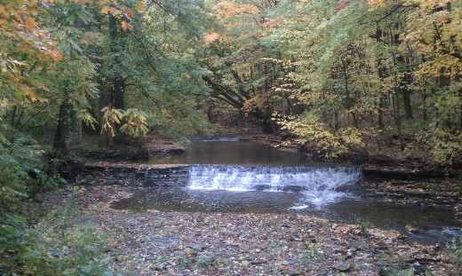 ...think like water." - Bob Ross