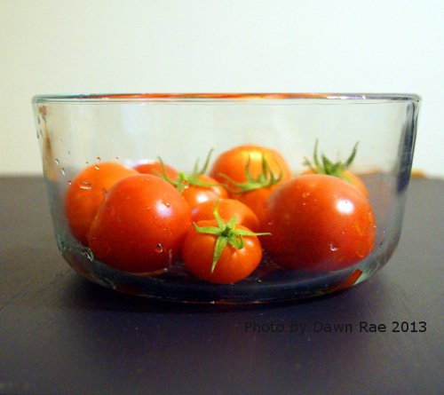 Last season's container tomatoes! I'm anxious for more tomatoes.