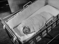 Premature Baby