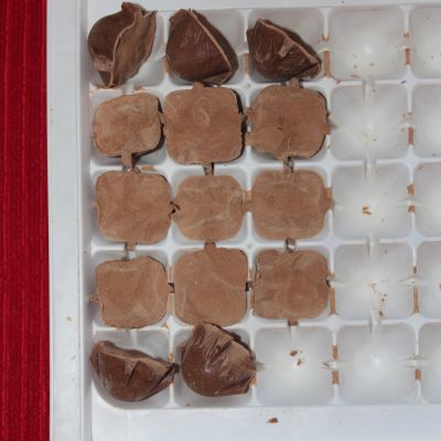 ice Cream Poppers