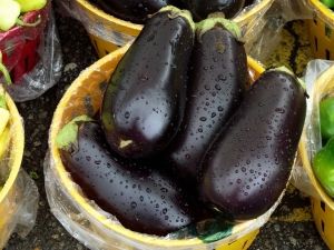 Eggplant
