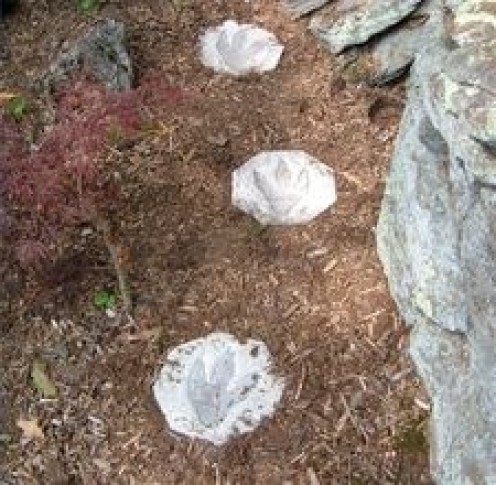 Jurassic Path: Making Stepping Stones with Dinosaur Prints! Jurassic Path: Making Stepping Stones with Dinosaur Prints!