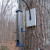 Black Oils Sunflower Seed Feeder Black Oils Sunflower Seed Feeder