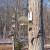 Covered Platform Feeder Covered Platform Feeder