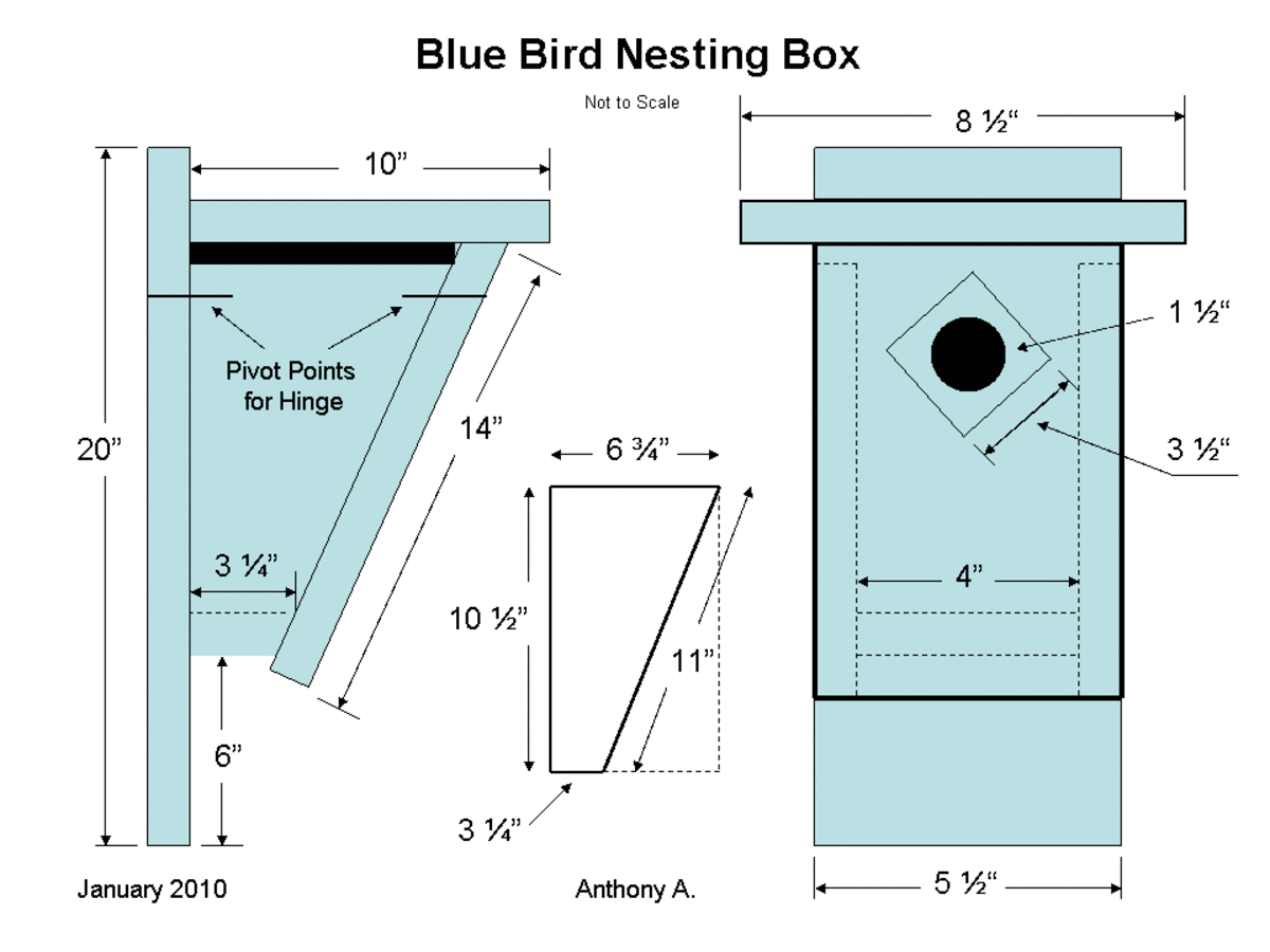 Birdhouse Hole Diameter Chart