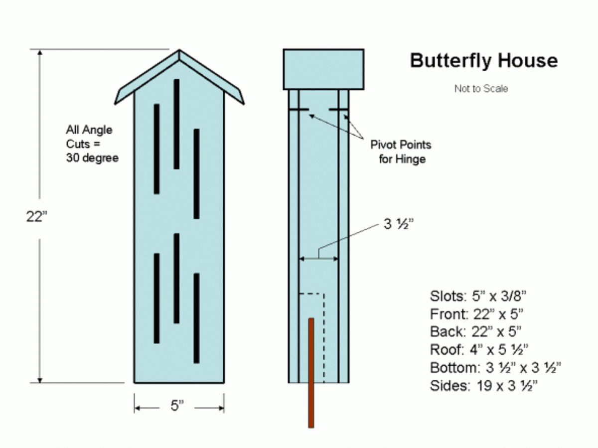 Lovely 90 Butterfly House Plans