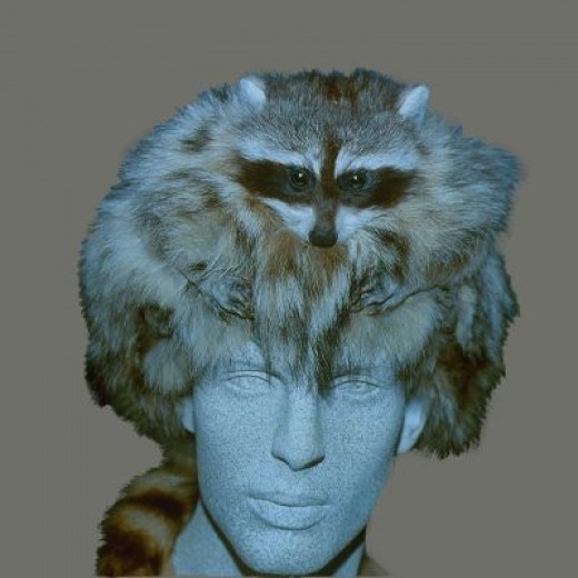 remembering-the-coonskin-cap-hubpages