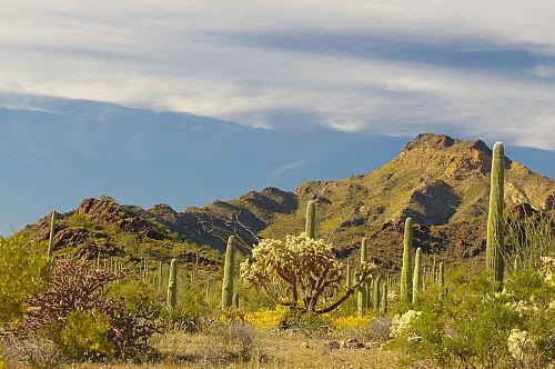 Getting close to the Ajo Mountains.