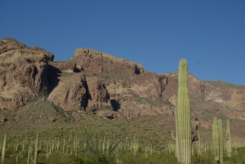 Mountains with Saguaros.