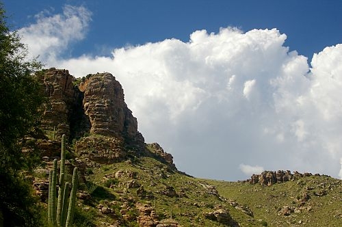 One Saguaro on the left, and beautiful cumulus clouds. The mountains get about twice the rainfall we get where I live.