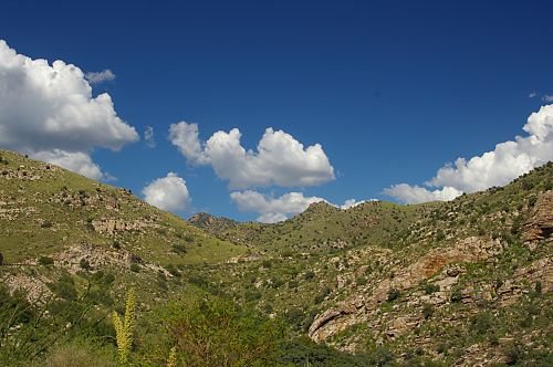 Elevation just past the Manzanita zone.