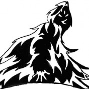Hobbieboy profile image
