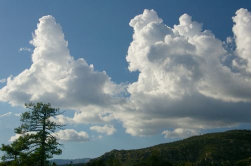 More beautiful cumulus clouds.
