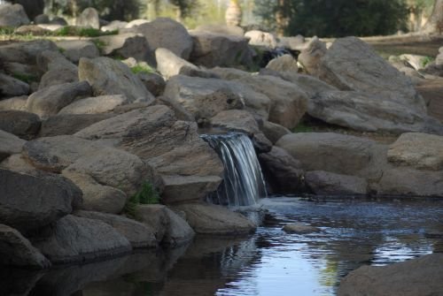 A very small waterfall in Reid Park, in the center of Tucson.