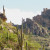 Rocks and saguaro cactus. Carnegiea gigantea.