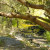 Nice shady place to rest. Nice shady place to rest.