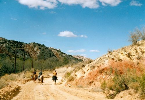 there were three cowboys on horseback.