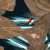 An Eagle Flies Through - I started with a scene with strata, which you can add with plug-ins. The eagle was rendered in Vue d'Esprit. I then created different angles by "folding" the image in Paint Shop Pro, and added the eagle. An Eagle Flies Through - I started with a scene with strata, which you can add with plug-ins. The eagle was rendered in Vue d'Esprit. I then created different angles by "folding" the image in Paint Shop Pro, and added the eagle.