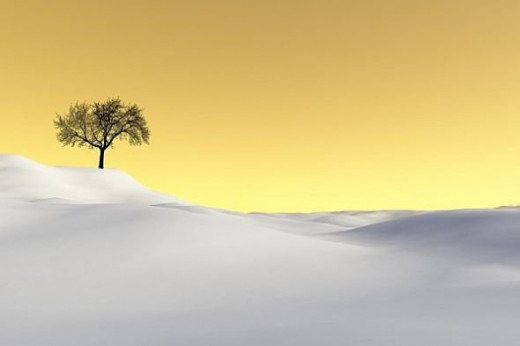 Tree - The tree was a gift from a friend. I put it on in Paint Shop Pro. The terrain is from Spain.