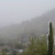 Same rocks later in the morning, with fog or snow moving in, I'm not sure which. Same rocks later in the morning, with fog or snow moving in, I'm not sure which.