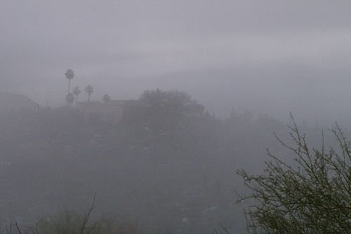 Neighbor's house with palms, shrouded in fog.