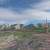 Spring in the Sonoran Desert - Wildflowers aren't easy to simulate in Terragen
