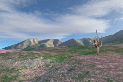 Spring in the Sonoran Desert - Wildflowers aren't easy to simulate in Terragen