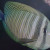 Pebbled Butterflyfish. Chaetodon multicinctus. Pebbled Butterflyfish. Chaetodon multicinctus.