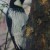 Acorn Woodpecker. My favorite. They're so funny! Acorn Woodpecker. My favorite. They're so funny!