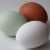 Araucana egg with two conventional eggs. They all taste the same.
