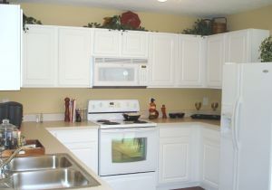 Adding the kitchen to the housecleaning plan