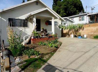 An Urban Farm on Flickr