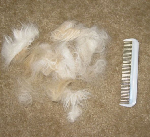 Loose hair and rotating teeth comb.