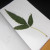 Leaf in leaf journal. Instead of rubbings, we taped the actual leaves to the pages. Leaf in leaf journal. Instead of rubbings, we taped the actual leaves to the pages.