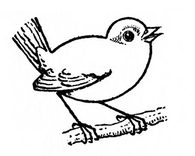 Grab this bird coloring page from The Graphics Fairy.The link is provided below.
