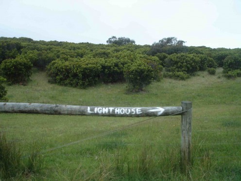 To the Lighthouse