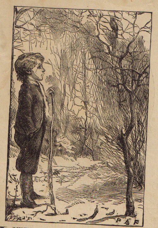 The lithos for this hub come from MY FIRST BOOK, Estes & Lauriat, Boston 1883