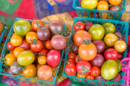 Heirloom tomatoes, by clayirving