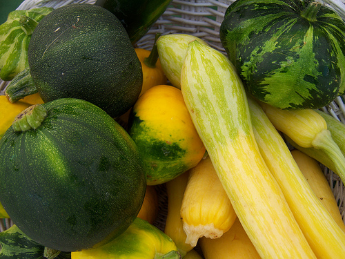Heirloom squash, by Lawrence Farmer's Market