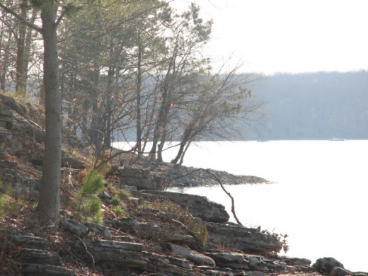 the shoreline at Kentucky Lake is clean and clear of human debris, most folks seem to pay respect for the land here