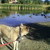 Enjoying the Lake Enjoying the Lake