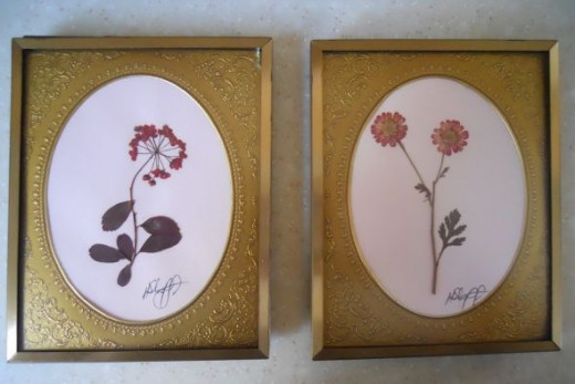 Pressed-Flowers-Framed