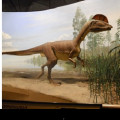 Dinosaur State Park, Connecticut