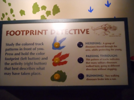 More footprint detective information